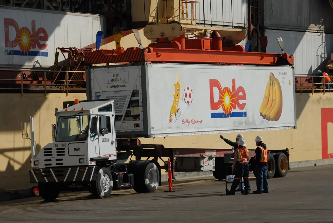 Reefer container moved onto a truck