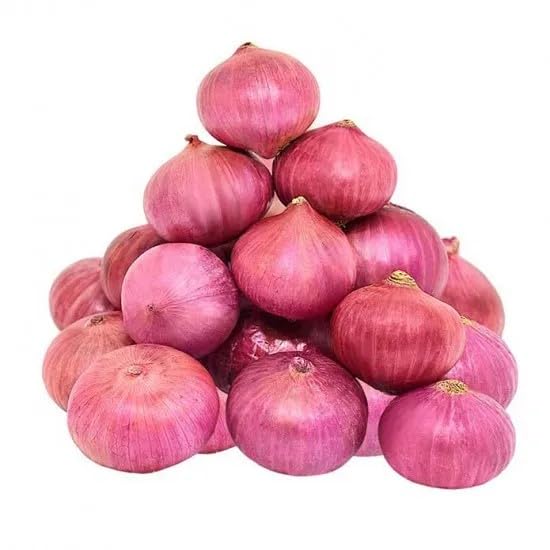 (o)Onions (India & Egypt)